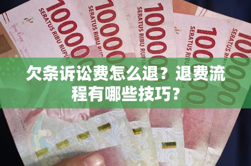 北京欠条诉讼费怎么退？退费流程有哪些技巧？