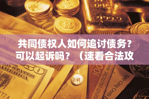 北京共同债权人如何追讨债务？可以起诉吗？（速看合法攻略）