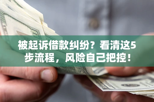 北京被起诉借款纠纷？看清这5步流程，风险自己把控！